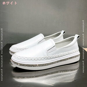 777~OFFN[| Xj[J[ fB[X v Cq[ [XAbv ʋC LL CXg[ Xb| EhgD JWA TChSA ₷ Ȃ C 