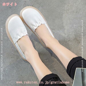 Xb| Xj[J[ fB[X  傫TCY    tbg r [Jbg _炩 JWA tbgV[Y y EhgD ؂ EH[LO d ʋ