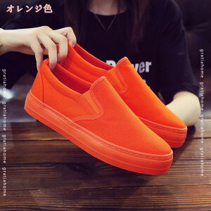 500~OFFN[| Xb| fB[X C Ip[h Xj[J[ ₷  V[Y Ȃ qE LoX tbgV[Y [t@[ CG[ ʋ ʊw 24.5cm JW