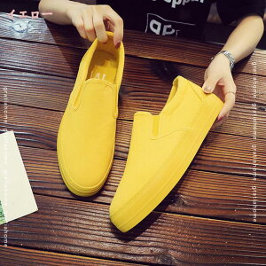 1000~OFFN[| Xb| fB[X C Ip[h Xj[J[ ₷  V[Y Ȃ qE LoX tbgV[Y [t@[ CG[ ʋ ʊw 24.5cm JW