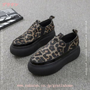 1000~OFFN[| ^ Xb| V[Y Xj[J[ fB[X 5.0cm ₷ RȂ JWA ʋ ʊw  t@bV Xb|Xj[J[  L _炩 [Jb