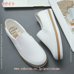500~OFFN[| tbg V[Y ؂ Xb| fB[X H JWA fbLV[Y Vv y y  22.5cm 傫TCY    RtH[g d 