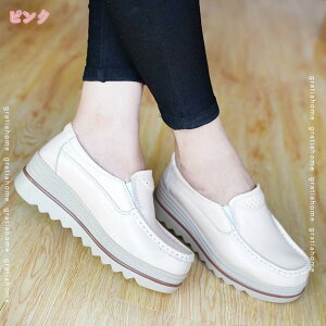 1000~OFFN[| Xb| fB[X  [t@[  V[Y V[Y i[XV[Y ʋC 傫TCY ₷ wlC r Xj[J[ ɂ  ʋ ʊw