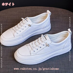 777~OFFN[| [t@[ fB[X JVV[Y ؂񂱌C Xb| EH[LOV[Y Ȃ i[XV[Y ₷ ʋ ʊw d RtH[g JWA 