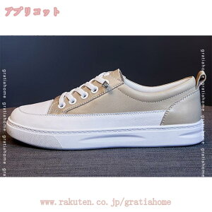 760~OFFN[| [t@[ fB[X JVV[Y ؂񂱌C Xb| EH[LOV[Y Ȃ i[XV[Y ₷ ʋ ʊw d RtH[g JWA 