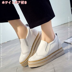 300~OFFN[| Xb| fB[X C [JbgtbgV[Y ubN  zCg  O[ Xb| Xj[J[ y 킢  nV[Y p C JW