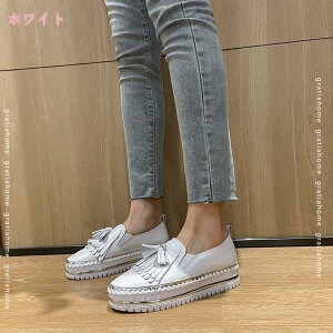 1670~OFFN[| t@bV C fB[X Xb| Xj[J[ ؂񂱌C Xj[J[ JWA s  ʊw ʋ [t@[ JV vbgtH[ Vv ^bZ