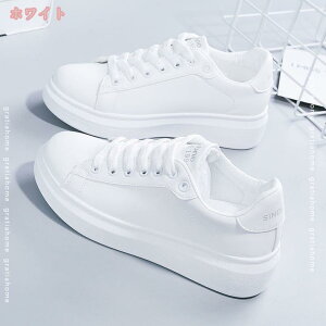 Xb| fB[X  Cq[ Xb| Xj[J[ ₷ ₷ r Vv  Vo[ S[h Ob^[ LL TCY 傫TCY [J
