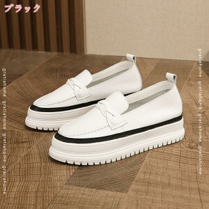 1000~OFFN[|  Xj[J[ [XAbv [Jbg fB[XC zCg  Xb| JWAV[Y NbV RtH[g ʋ ʊw ~ h y^R _炩