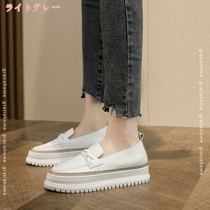  Xj[J[ [XAbv [Jbg fB[XC zCg  Xb| JWAV[Y NbV RtH[g ʋ ʊw ~ h y^R _炩 RC  