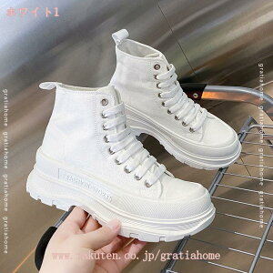 500~OFFN[| 4CMgAbv Xj[J[ fB[X LoX Xj[J[ jOV[Y ʊwC r V[Y y JWA Xj[J[傫TCY 22.5cm~25.0cm r 