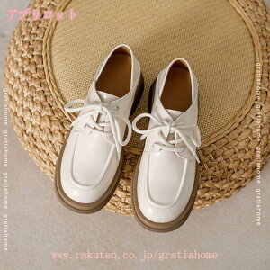 300~OFFN[| [t@[ fB[X pvX [^V[Y C n  ҂ݏグ Xb| r 킢 芴 ₷ ɂ r l ʋ ʊw SX C 