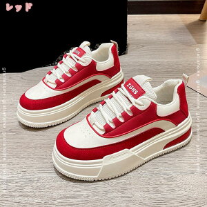 Xj[J[ fB[X Cq[Xj[J[ EH[LOV[Y r V[NbgV[Y y [XAbv 5cm q[Abv ɂ gAbv fB[XXj[J[