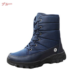 500~OFFN[| Xm[u[c fB[X Wbp[ hC ~C N ~pu[c y hu[c h V[gu[c JWA C ȌC ʋΒʊw ϋv Ή E֗ 