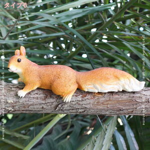 1000~OFFN[| K[fI[ig AEghA X u 킢X i  O   Ki  fR[V K[fjOI[ig K[fjO u 