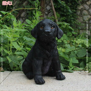 300~OFFN[| K[fjO u  K[fG   ϋv peBI[hŐp ̒ h Ő  x_ K[fjOIuWF CeA O fR[V 