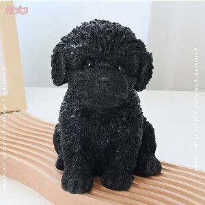 300~OFFN[| K[fjOG  IuWF  u K[fI[ig  킢 CeAG K[fjO ɒu K[fIuWF Aj} Jg[G O 