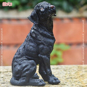 ̒u 킢 u CeAG K[fjO    Mtg IuWF  K[fI[ig ̒u Jg[G ObY AEghA  O o Ki v