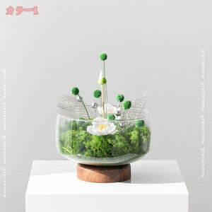 lH ̂ю tFCNt[ t  A  rO   ItBX oRj[ lHϗtA {  Iȑ @ׂȗt t[AW