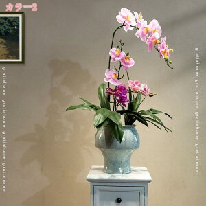 2000~OFFN[| Ӓ tFCNӒ̖~ ItBX rO  fBXvC VNԕ {̂悤Ȏ a_ 픫t R[i[؂₩ ւiɉo ~