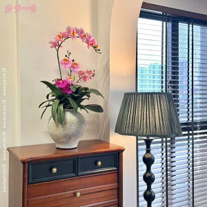 Ӓ tFCNӒ̖~ ItBX rO  fBXvC VNԕ {̂悤Ȏ a_ 픫t R[i[؂₩ ւiɉo ~̓Zbg ԃA