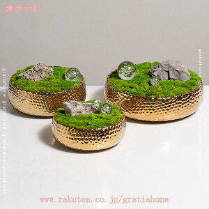 lHϗtA lH lHې A lHϗtA A Iȑ CeA DIY e[ugbvfR[V a_~i ϋv tFCNO[ t _ ۋ ϑސF