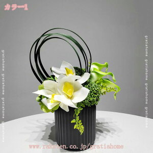 1000~OFFN[| t[AWg tFCNt[ t _ }OmA lHϗtA e[ugbvfR[V tFCNO[ Aȉԕ VNt[