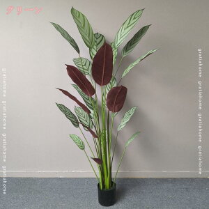 1000~OFFN[| tFCNO[ lHϗtA  ^ CeA   rO  A R 킢   ItBX W[ Q t ̓ ̓ Mtg ₵ a