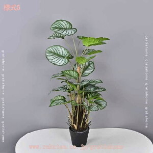 300~OFFN[| tFCNO[ CeAO[ lH ϗtA tFCN CeA ₷ sv Q쏜sv   ƒ  v[g V Mtg 