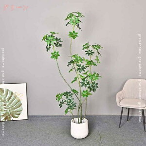 1000~OFFN[| tFCNO[ A j ^ ϗtA tFCN  A  ͂Ȃ lHA t  CeAO[ sv ItBX JtF X G