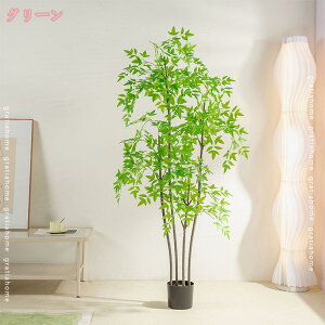 tFCNO[ | ie sv ͂Ȃ QȂ lHϗtA ϗtA CeA ItBX   ^ 傳 sv  ʏ  gC  