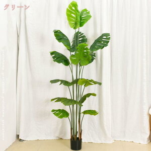 tFCNO[ Xe sv ͂Ȃ QȂ lHϗtA ϗtA CeA ItBX   ^ 傳 sv  ʏ  gC  J