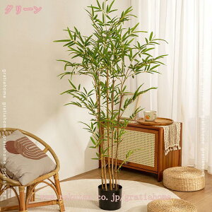 300~OFFN[| tFCNO[ lHϗtA ^ ou[ | lHA AȎ} Rȗt  j   Lb` rO ItBX x_   ͂Ȃ C