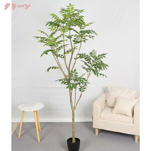 777~OFFN[| ϗtA tFCNO[ CeA lHϗtA ϗt   K̖  ItBX A A   K̖ Vzj Mtg Ղ 蕨 