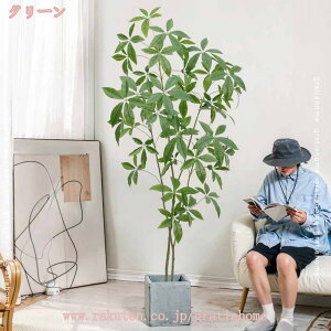 300~OFFN[| tFCNO[ lHϗtA   A ͂Ȃ CeA  A a z[K[f x_ gC  pL ^ 傫  tFCN v[