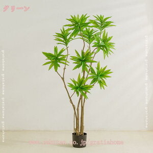 1000~OFFN[| tFCNO[  ϗA lHϗt ϗtA CeA ^ A  lH j a     蕨 v[g tFCNc[  