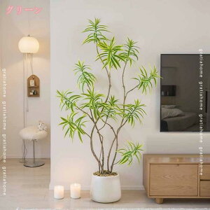 1000~OFFN[| tFCNO[ pL ϗt AȎ} Rȗt ϗtA tFCN O[ lHϗtA  킢 Q̐SzȂ ԕ̐SzȂ  CeA 