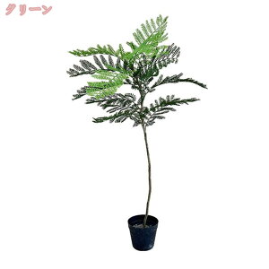 tFCNO[ WJ_ lHϗtA A ^ 傫  tFCN CeA O[ A   ItBX  K sv sv j  v