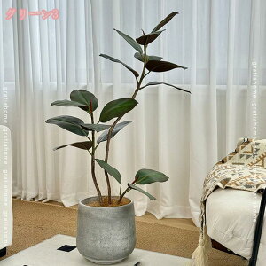 1000~OFFN[| lHϗtA tFCNO[ ϗtA ChSmL  b炸 sv Q̐SzȂ CeAO[ ϗt A lHA ItBX z[  