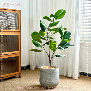 tFCNO[ ^ 傫  ϗtA sv ȒP IV lH tFCN lHϗtA A CeAO[ A KW} JXj Vzj  