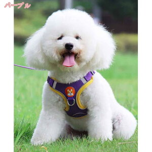 300~OFFN[| pn[lX ʋC K ^ ^  EȒP h~ Ȃ   Lp n[lX Ȃ pn[lX s⏕n[lX  y  