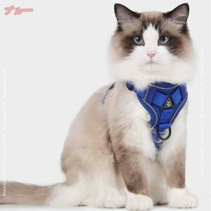 300~OFFN[| ̃n[lX n[lX   ^ ^ ^ V ` Čp p  h~ [ht U p ėp EȒP Ȃ   y 