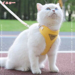 500~OFFN[| pn[lX ʋC K ^ ^  EȒP h~ Ȃ   Lp n[lX Ȃ pn[lX s⏕n[lX  y  