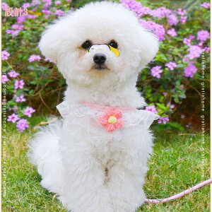 777~OFFN[|  n[lX [hZbg U h ^ ybg   y ߉\  n[lX Lp S ʋC Ď h~   ȒPE Ȃ S