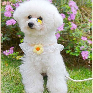 300~OFFN[| p n[lX  [h Zbg ^ ^ ^ L U/P/o| ybg S Ȃ y ߉\ ėp Ȃ ʋC Čpn[lX pn[l