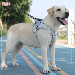 500~OFFN[|  pn[lX  n[lX ^ ^ ̃n[lX  p p hbO y Ȃ ȒP v  [h EȒP ėp U h ̃n[l