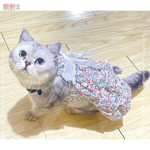 777~OFFN[|  L s[X Pl XJ[g hX t ̎q ybg hbOEFA Lp m ĕ  _bNX [L[ }`[Y ^ ^  ` L