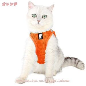 300~OFFN[| p n[lX[hZbg   n[lX ^ h~  n[lX ^ pn[lX ^  ėp Ȃ `p pȃn[lX y