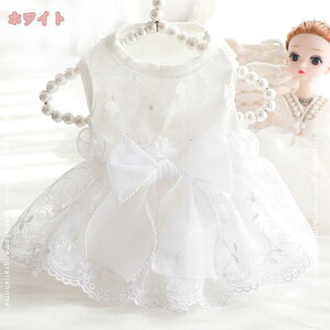 500~OFFN[| ^    ʋC s[X ybgEFA  ̎q hbOEFA    y  ` R[M[ ^ L ybg ё΍ ̕ hX [