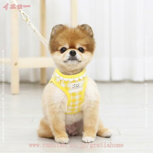 777~OFFN[| p n[lX ^ Lp  n[lX [h Zbg q  ėp ʋC   Ȃ h~ SȂ AɗD S y Lpn[lX 